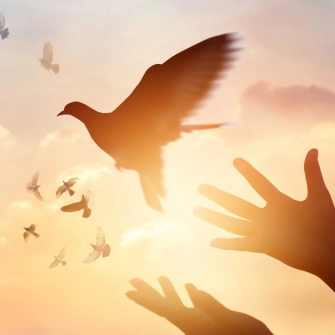 Bağımsızlık Sözleri