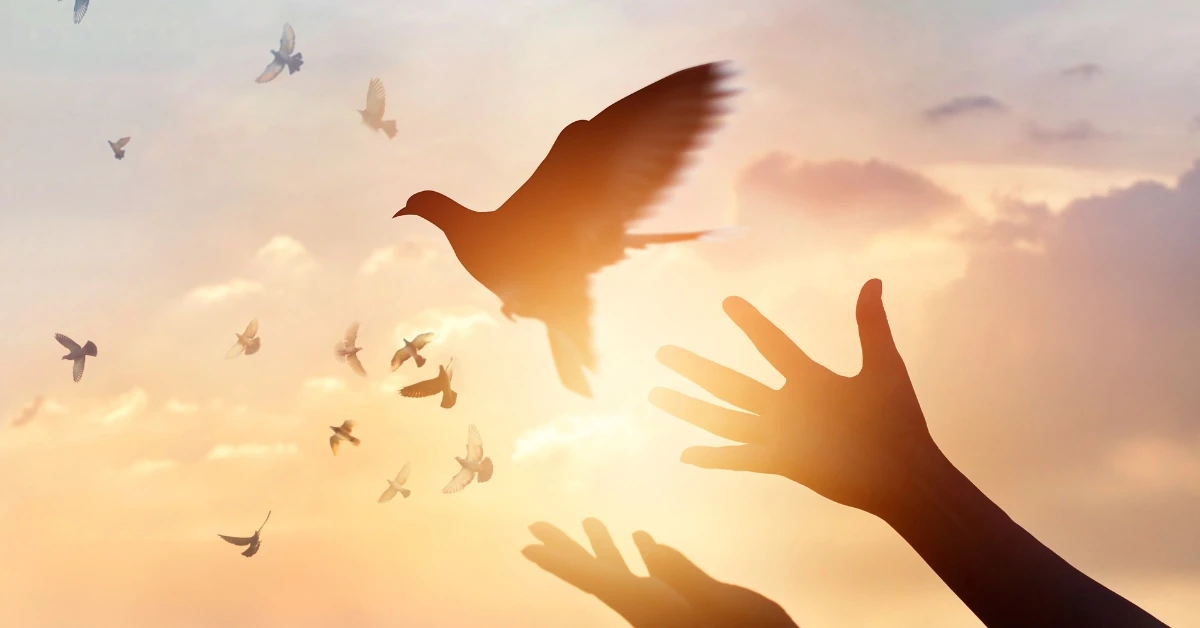 Bağımsızlık Sözleri