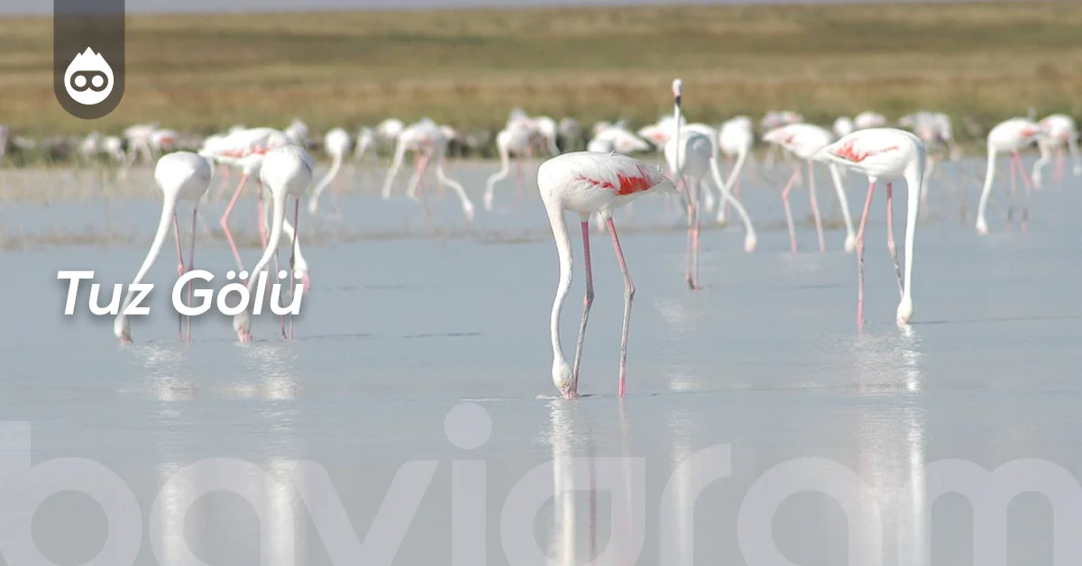 Aksaray Gezilecek Yerler Tuz Gölü