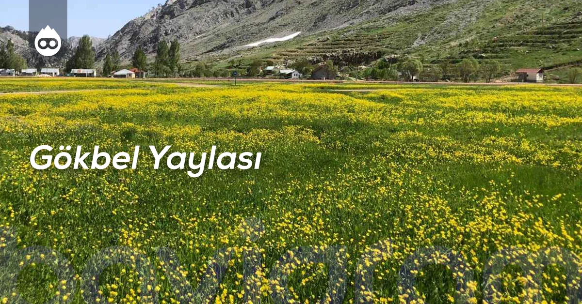 Alanya Gezilecek Yerler Gökbel Yaylası