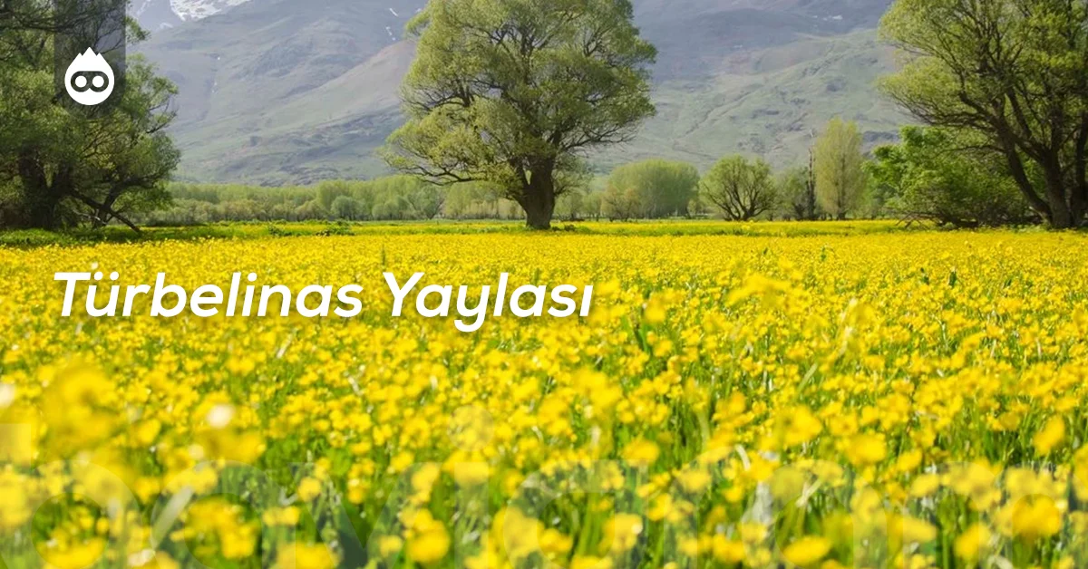 Alanya Gezilecek Yerler Türbelinas Yaylası