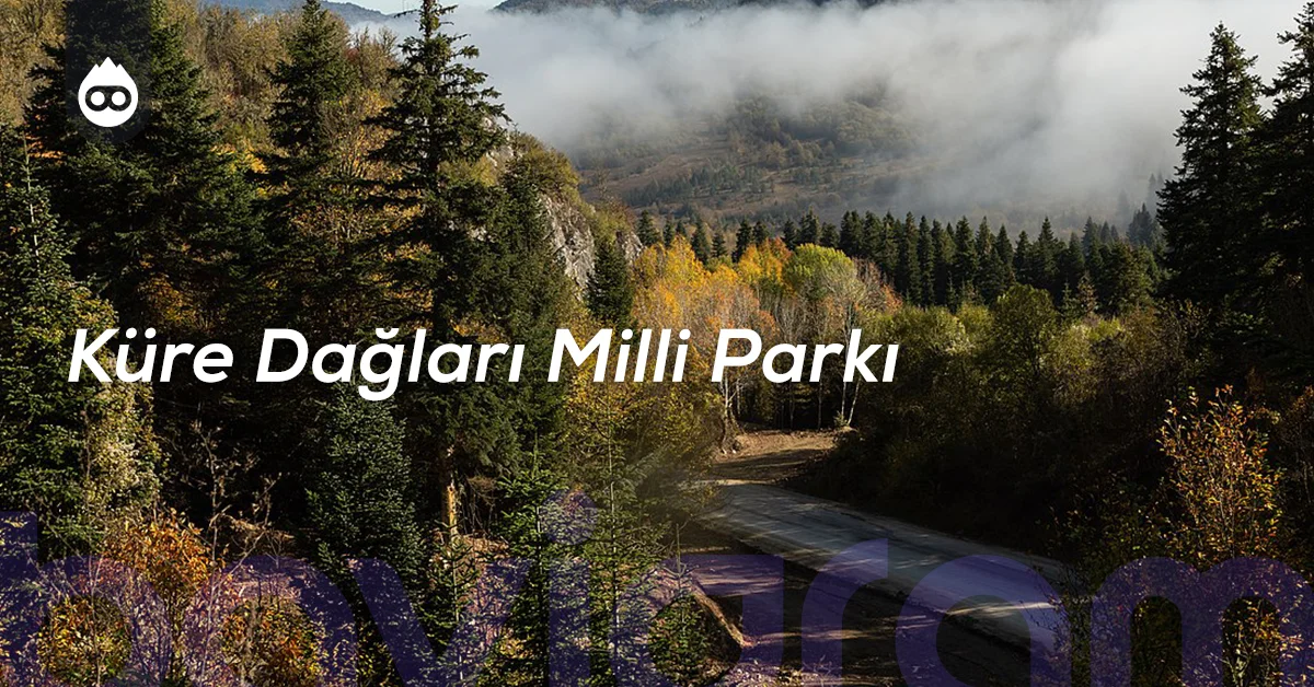 Amasra Gezilecek Yerler Küre Dağları Milli Parkı