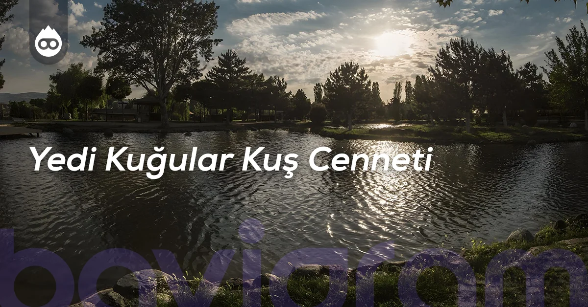 Amasya Gezilecek Yerler Yedi Kuğular Kuş Cenneti
