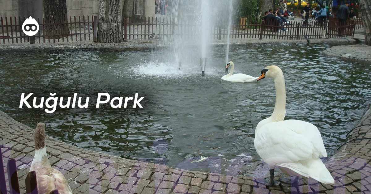 Ankara Gezilecek Yerler Kuğulu Park