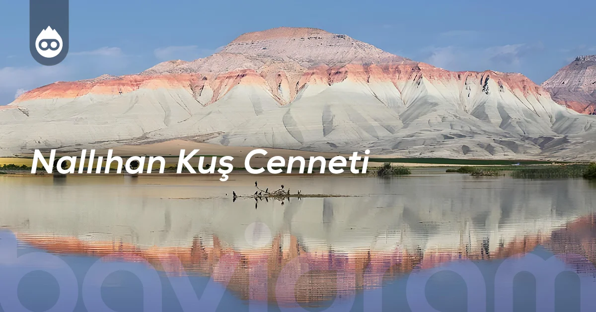 Ankara Gezilecek Yerler Nallıhan Kuş Cenneti