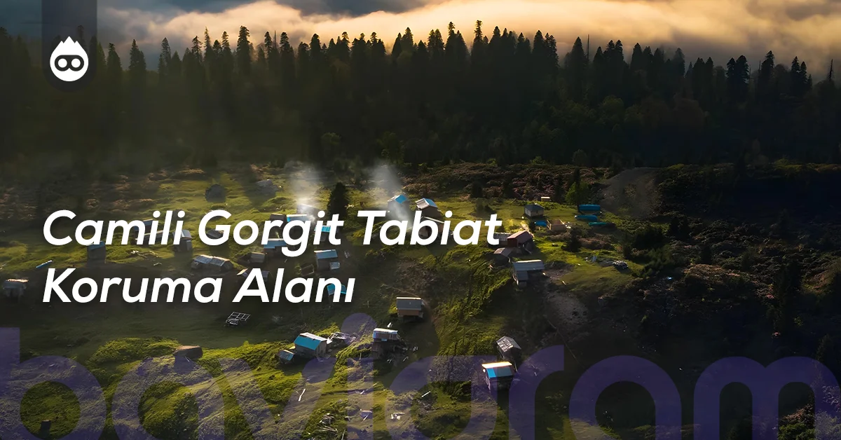 Artvin Gezilecek Yerler Camili Gorgit Tabiat Koruma Alanı