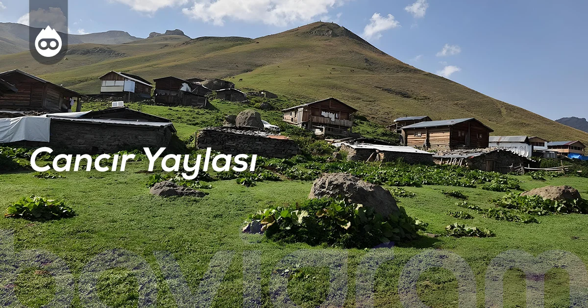 Artvin Gezilecek Yerler Cancır Yaylası