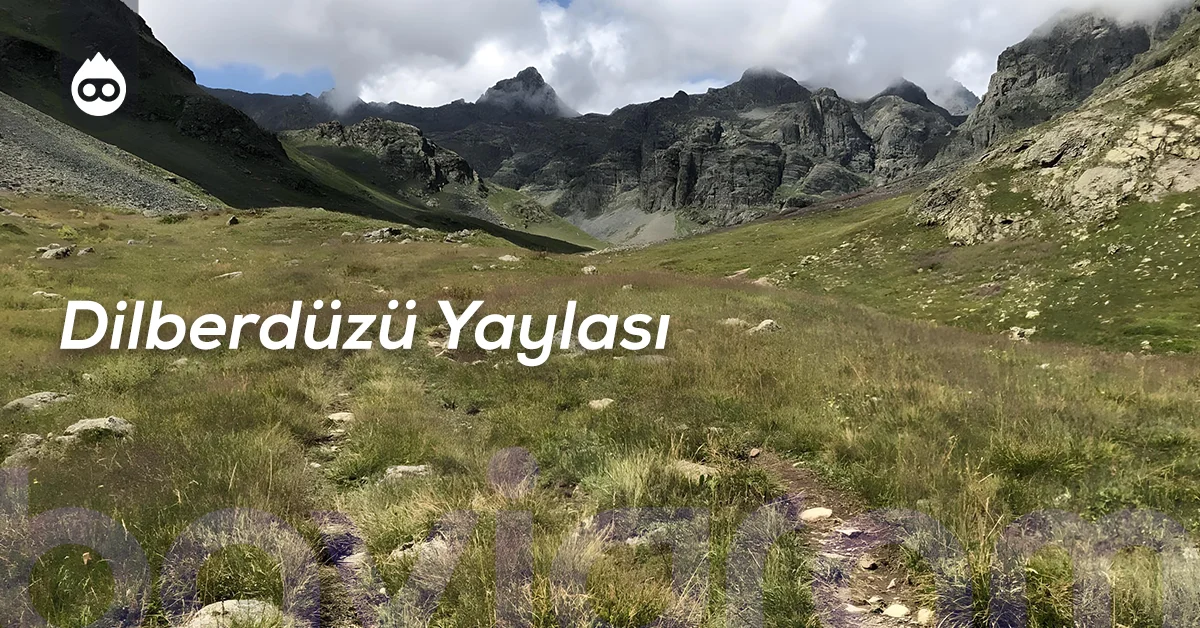 Artvin Gezilecek Yerler Dilberdüzü Yaylası