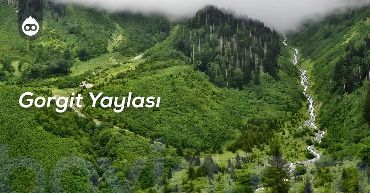 Artvin Gezilecek Yerler Gorgit Yaylası