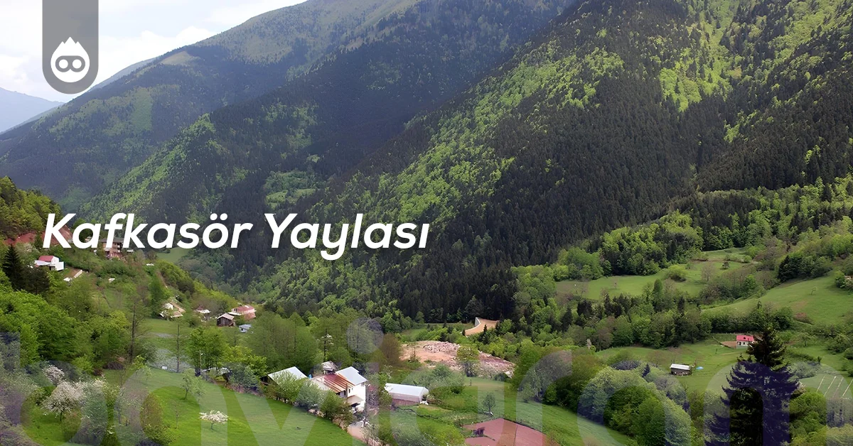 Artvin Gezilecek Yerler Kafkasör Yaylası