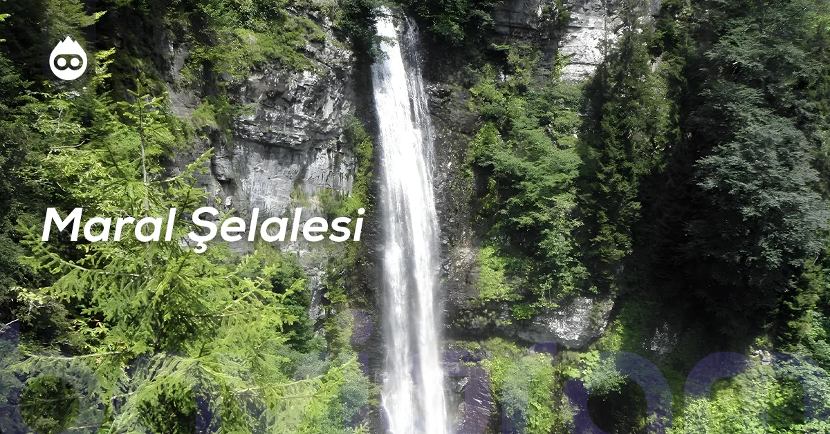 Artvin Gezilecek Yerler Maral Şelalesi