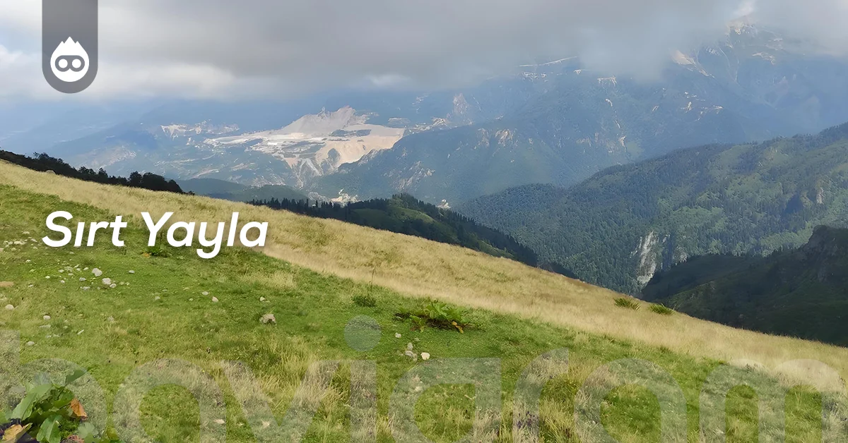 Artvin Gezilecek Yerler Sırt Yayla