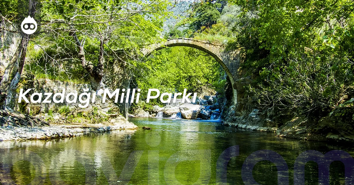 Ayvalık Gezilecek Yerler Kazdağı Milli Parkı