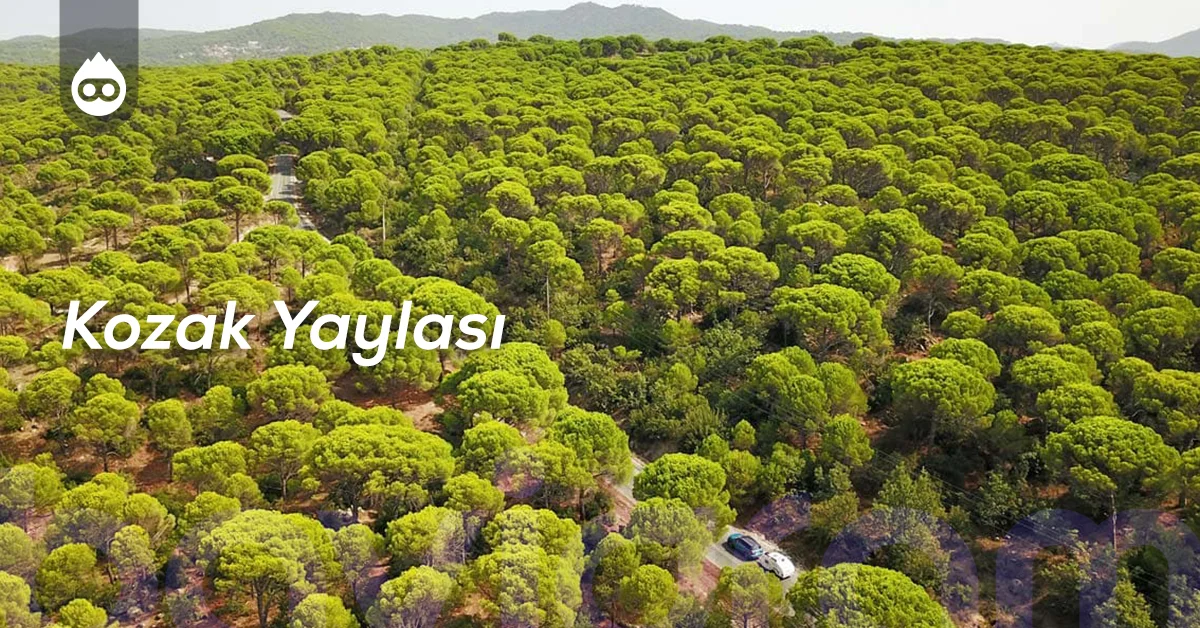 Ayvalık Gezilecek Yerler Kozak Yaylası