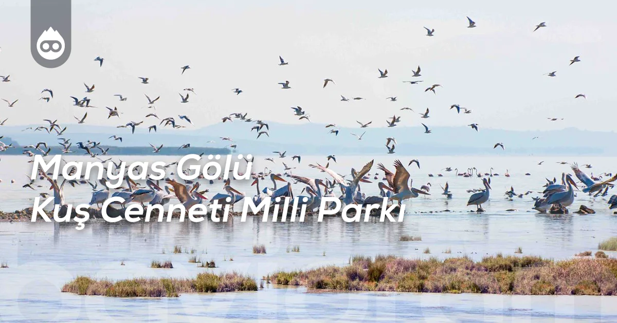 Balıkesir Gezilecek Yerler Manyas Gölü Kuş Cenneti Milli Parkı