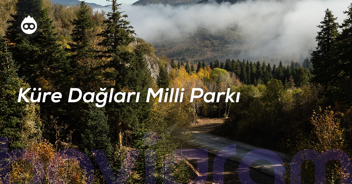 Bartın Gezilecek Yerler Küre Dağları Milli Parkı