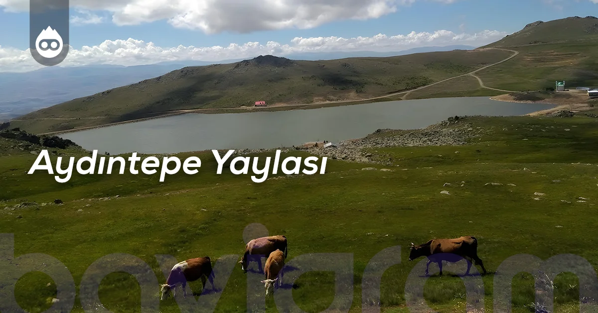 Bayburt Gezilecek Yerler Aydıntepe Yaylası