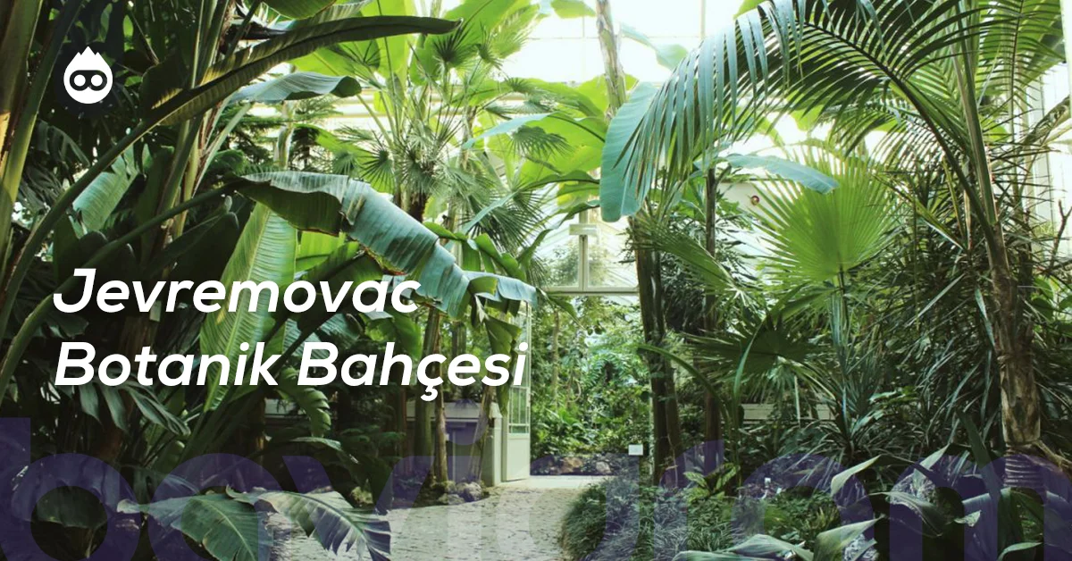 Belgrad Gezilecek Yerler Jevremovac Botanik Bahçesi