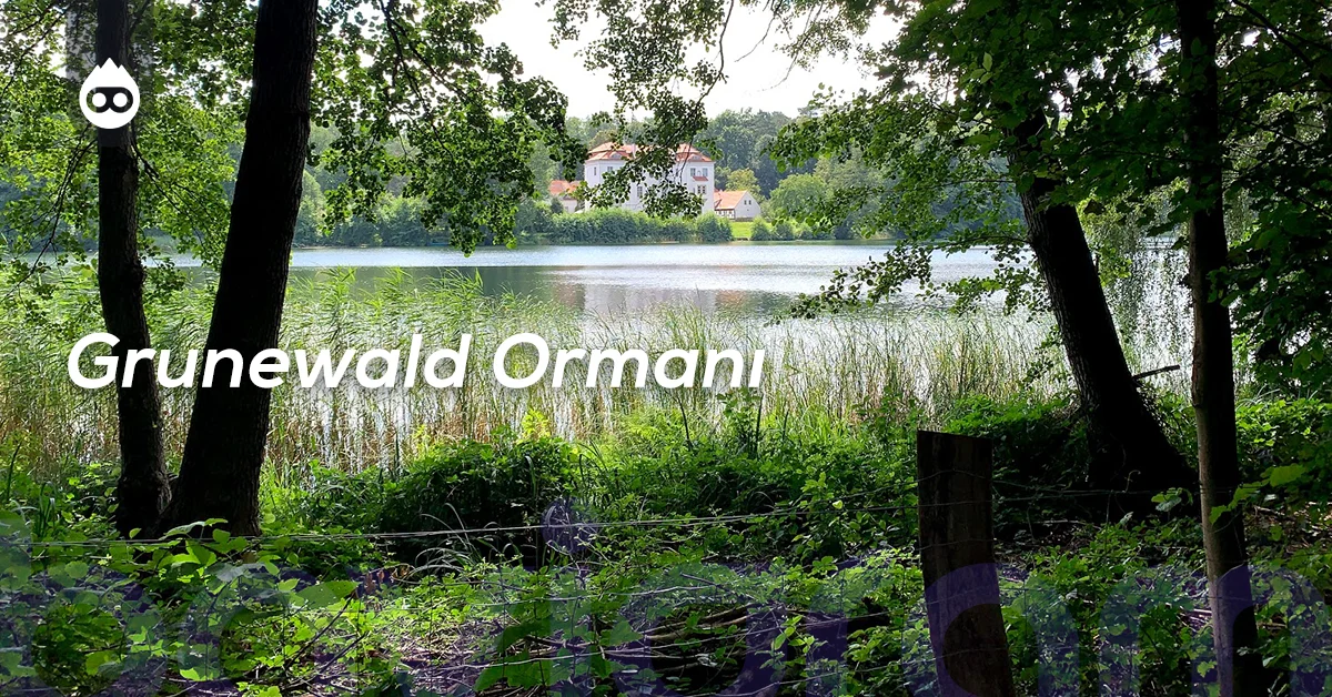 Berlin Gezilecek Yerler Grunewald Ormanı