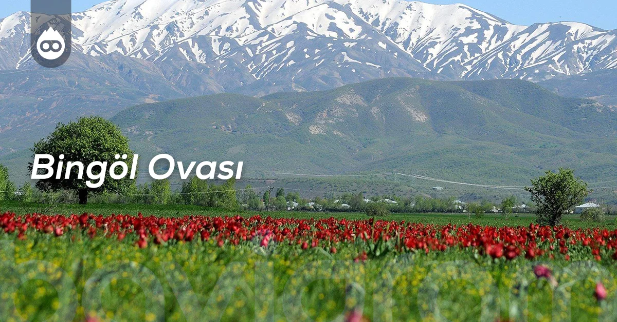 Bingöl Gezilecek Yerler Bingöl Ovası