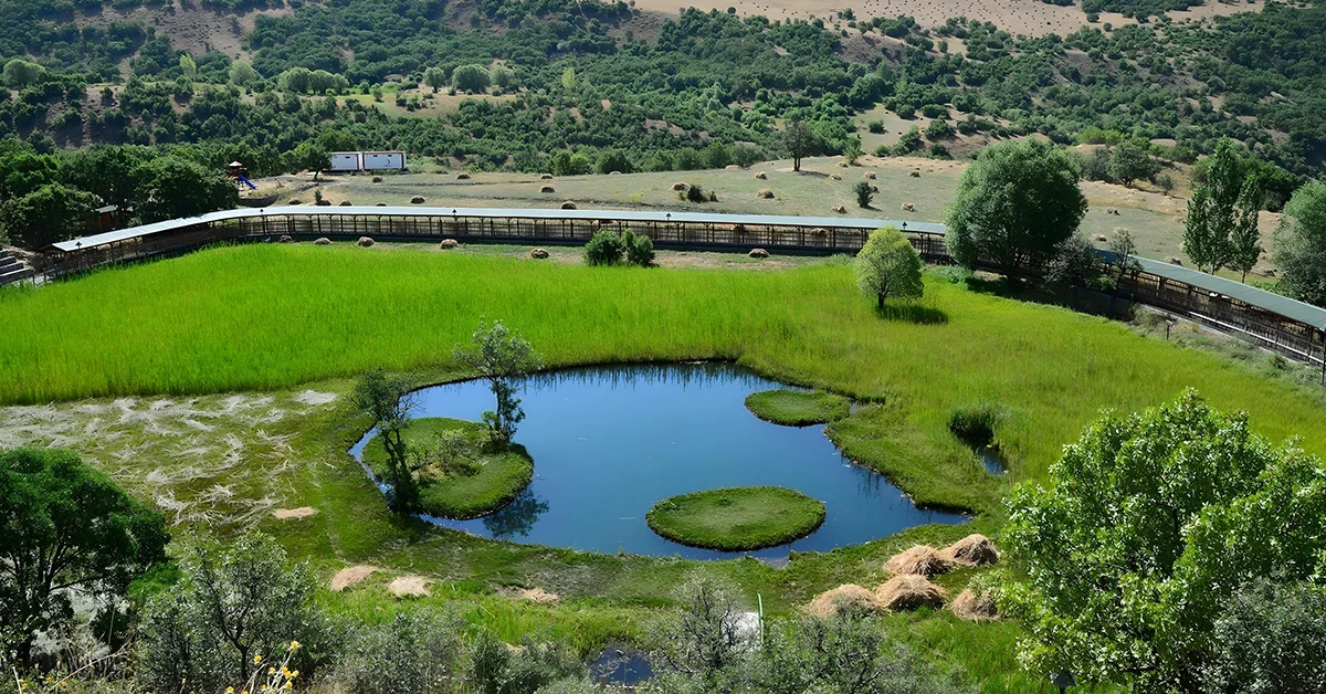 Bingöl Gezilecek Yerler - Bingöl Gezi Rehberi