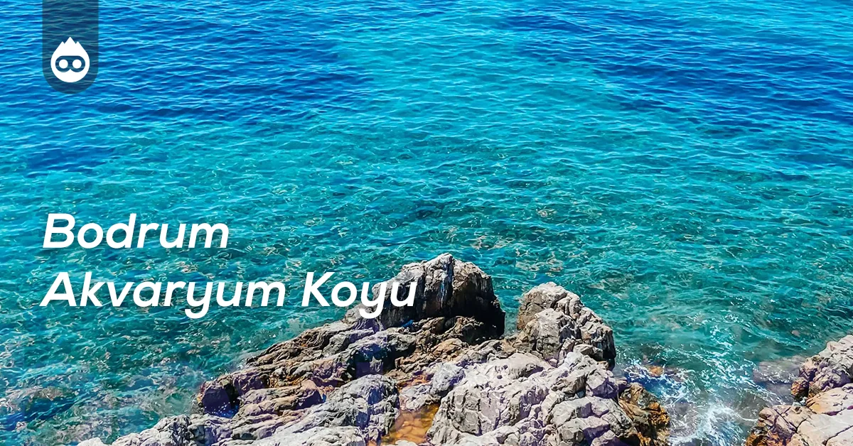 Bodrum Gezilecek Yerler Bodrum Akvaryum Koyu