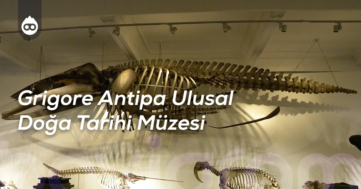 Bükreş Gezilecek Yerler Grigore Antipa Ulusal Doğa Tarihi Müzesi