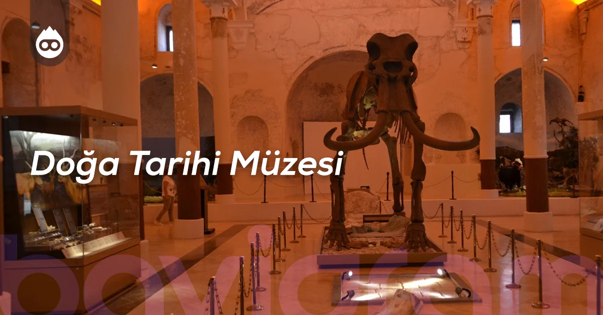 Burdur Gezilecek Yerler Doğa Tarihi Müzesi