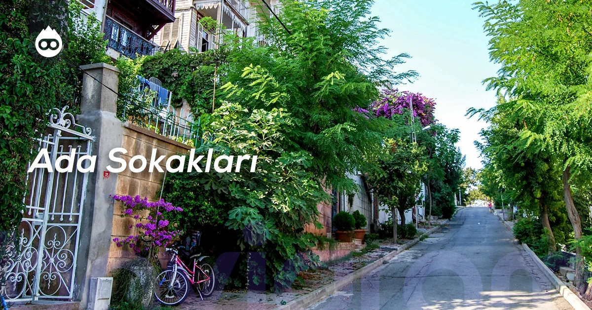 Büyükada Gezilecek Yerler Ada Sokakları