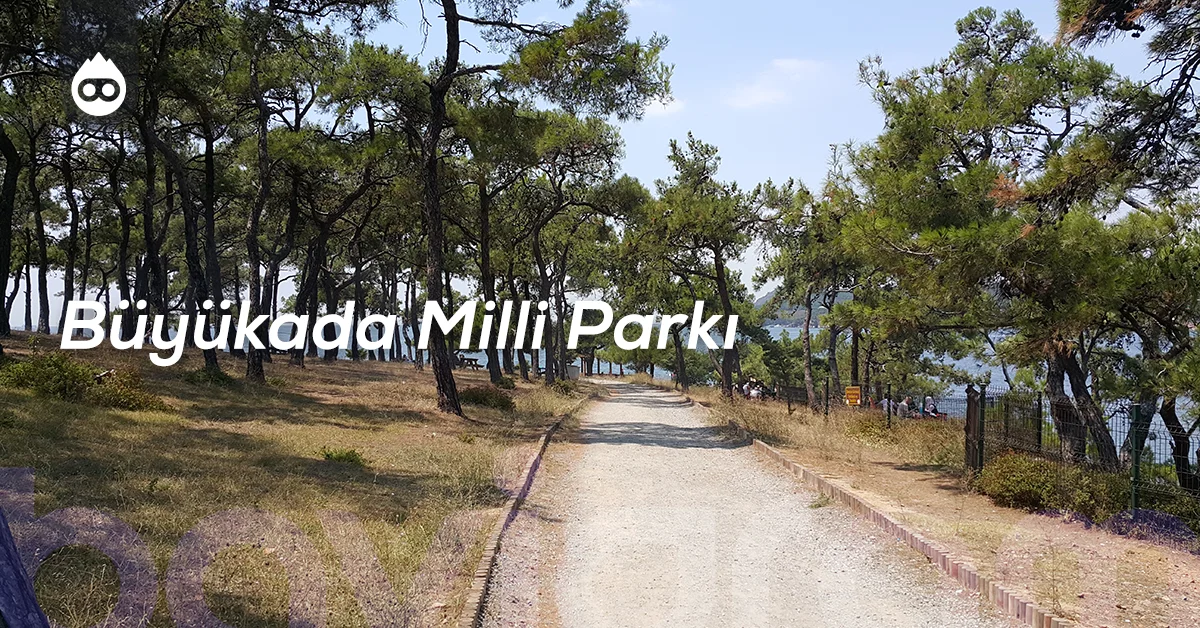 Büyükada Gezilecek Yerler Büyükada Milli Parkı