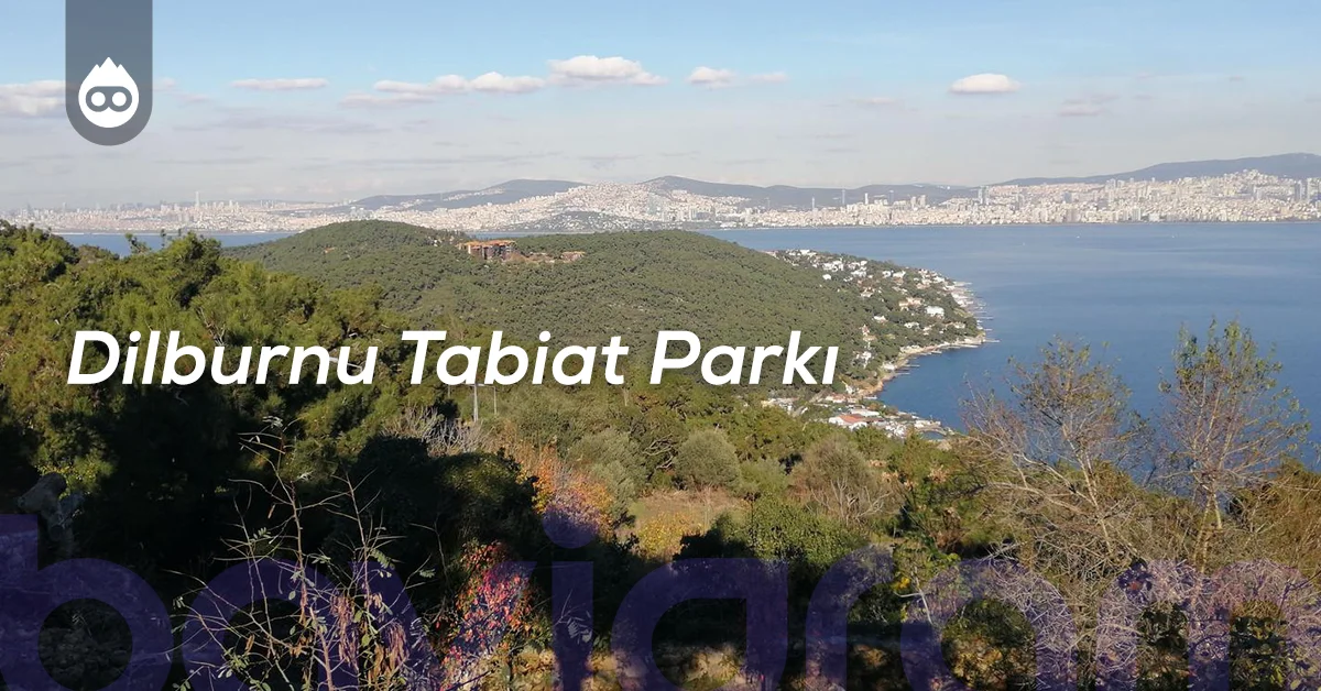 Büyükada Gezilecek Yerler Dilburnu Tabiat Parkı
