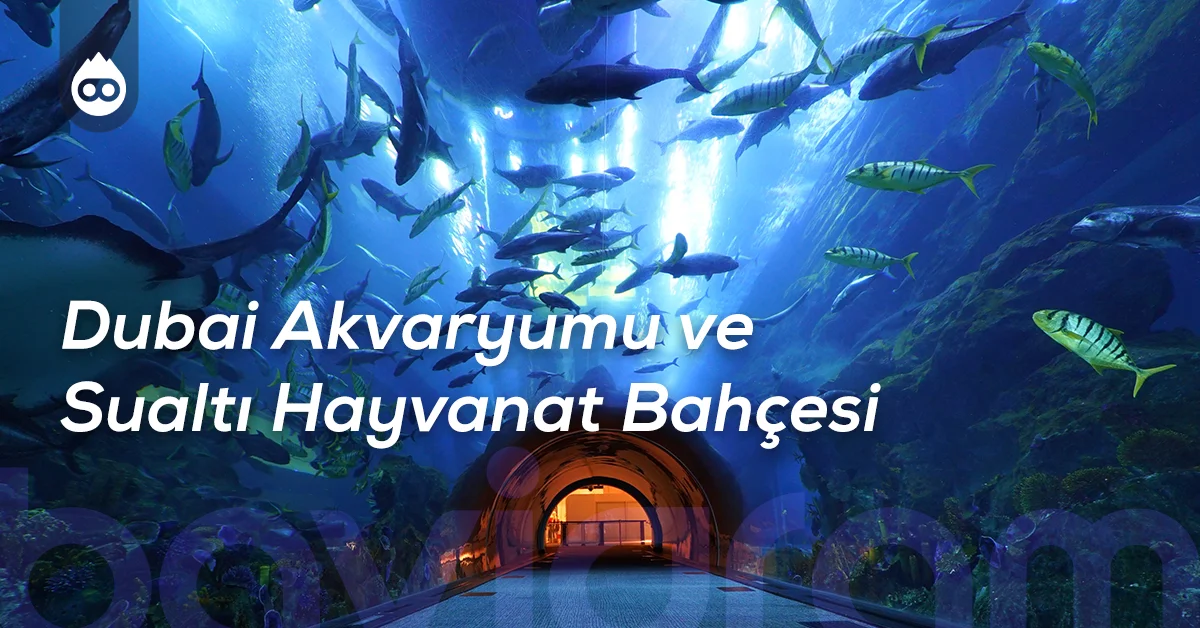 Dubai Gezilecek Yerler Dubai Akvaryumu ve Sualtı Hayvanat Bahçesi