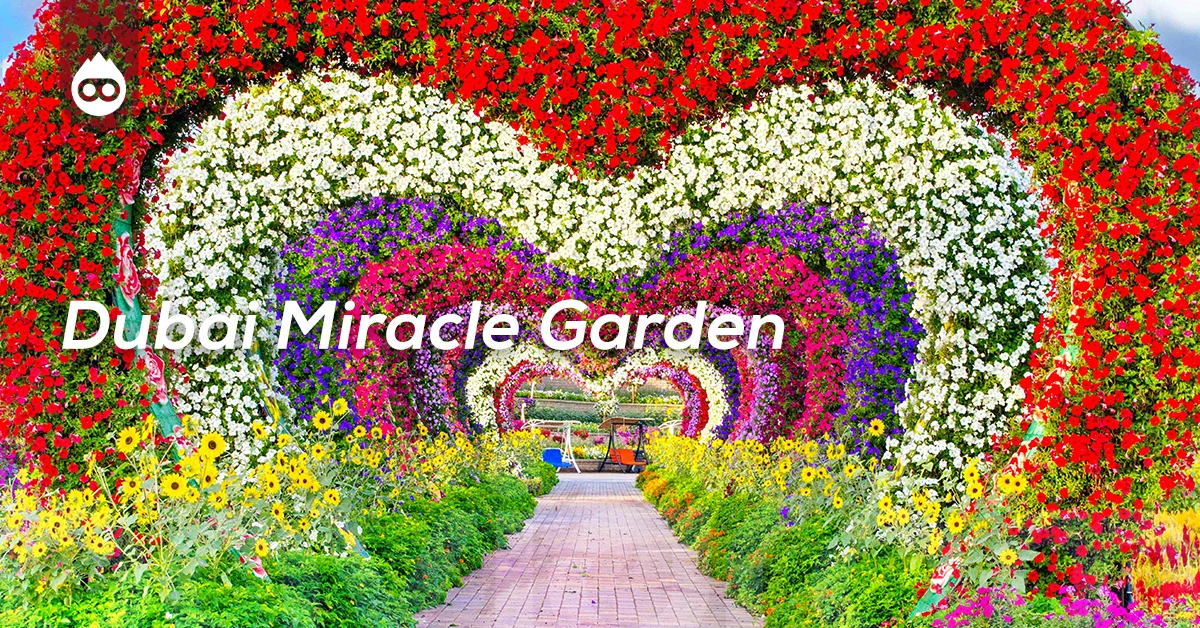 Dubai Gezilecek Yerler Dubai Miracle Garden