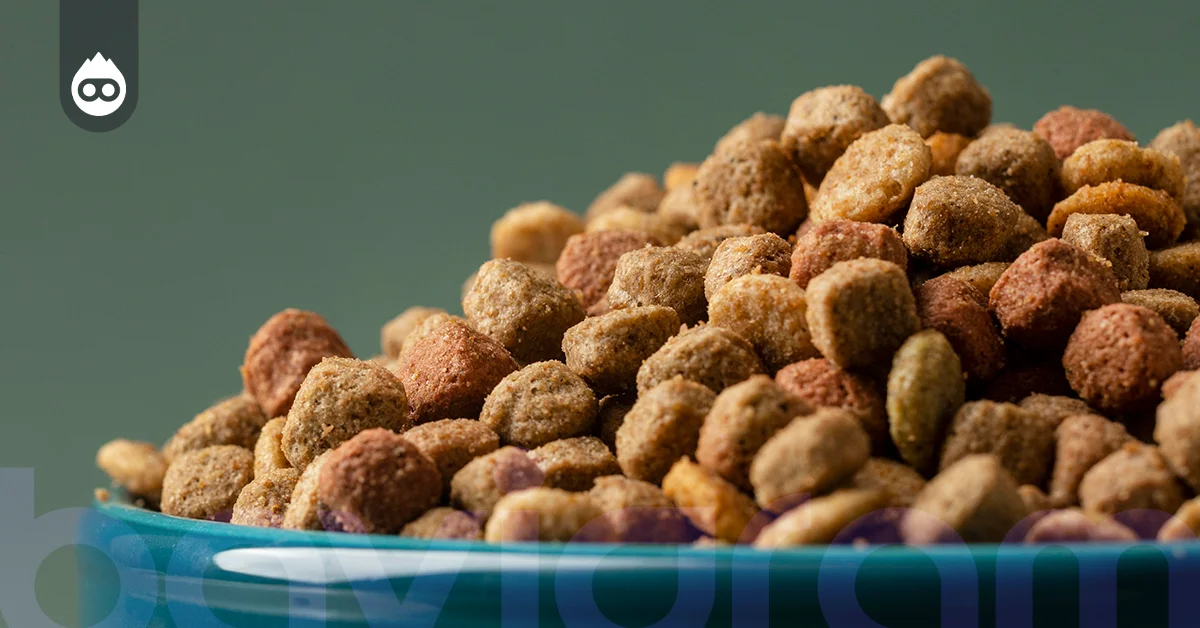 En İyi Kedi Maması Royal Canin Sterilised Kısırlaştırılmış Kedi Maması