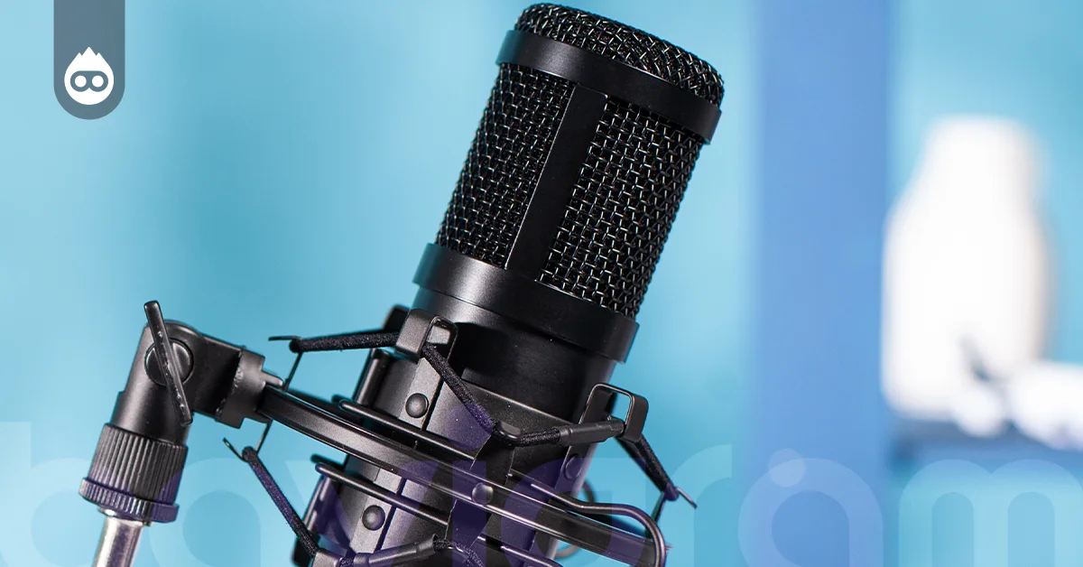 En İyi Yayıncı Mikrofonu MXL 990 Yayıncı Mikrofonu