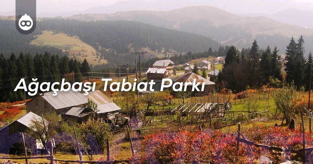 Giresun Gezilecek Yerler Ağaçbaşı Tabiat Parkı