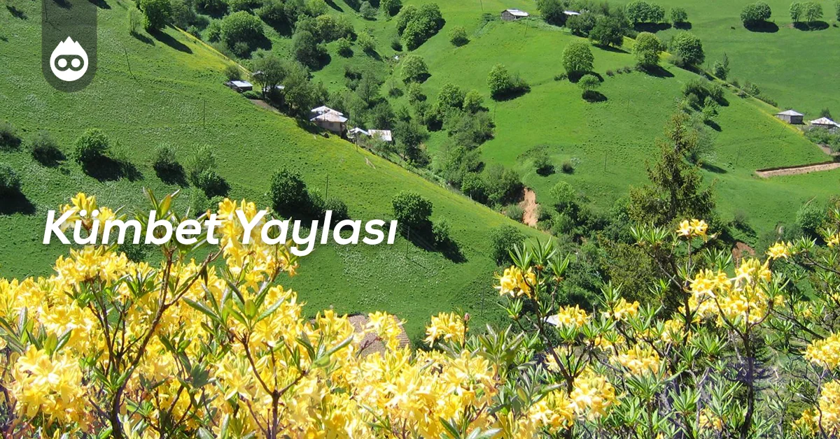 Giresun Gezilecek Yerler Kümbet Yaylası