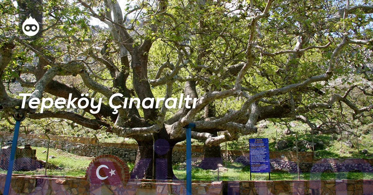 Gökçeada Gezilecek Yerler Tepeköy Çınaraltı