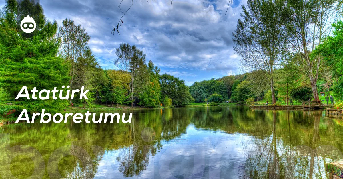 İstanbul Gezilecek Yerler Atatürk Arboretumu
