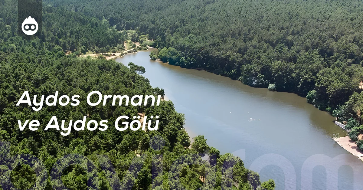 İstanbul Gezilecek Yerler Aydos Ormanı ve Aydos Gölü