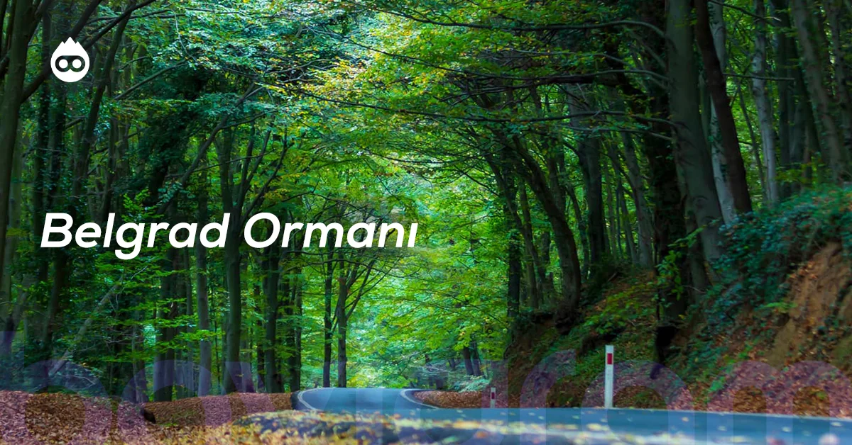 İstanbul Gezilecek Yerler Belgrad Ormanı