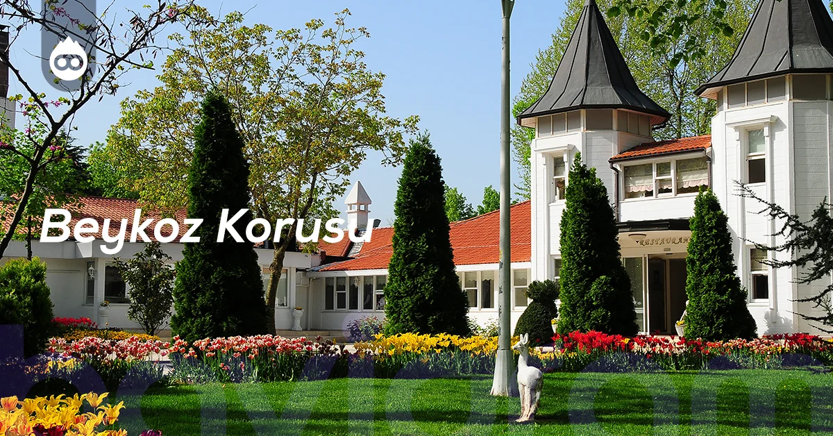 İstanbul Gezilecek Yerler Beykoz Korusu
