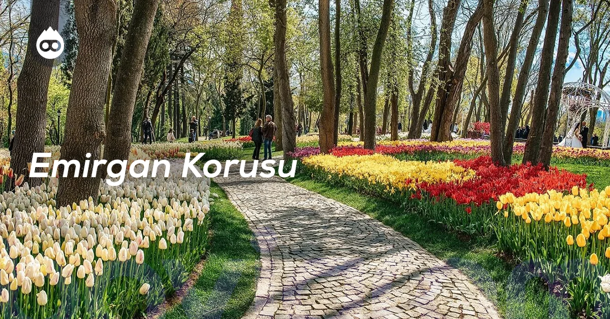 İstanbul Gezilecek Yerler Emirgan Korusu