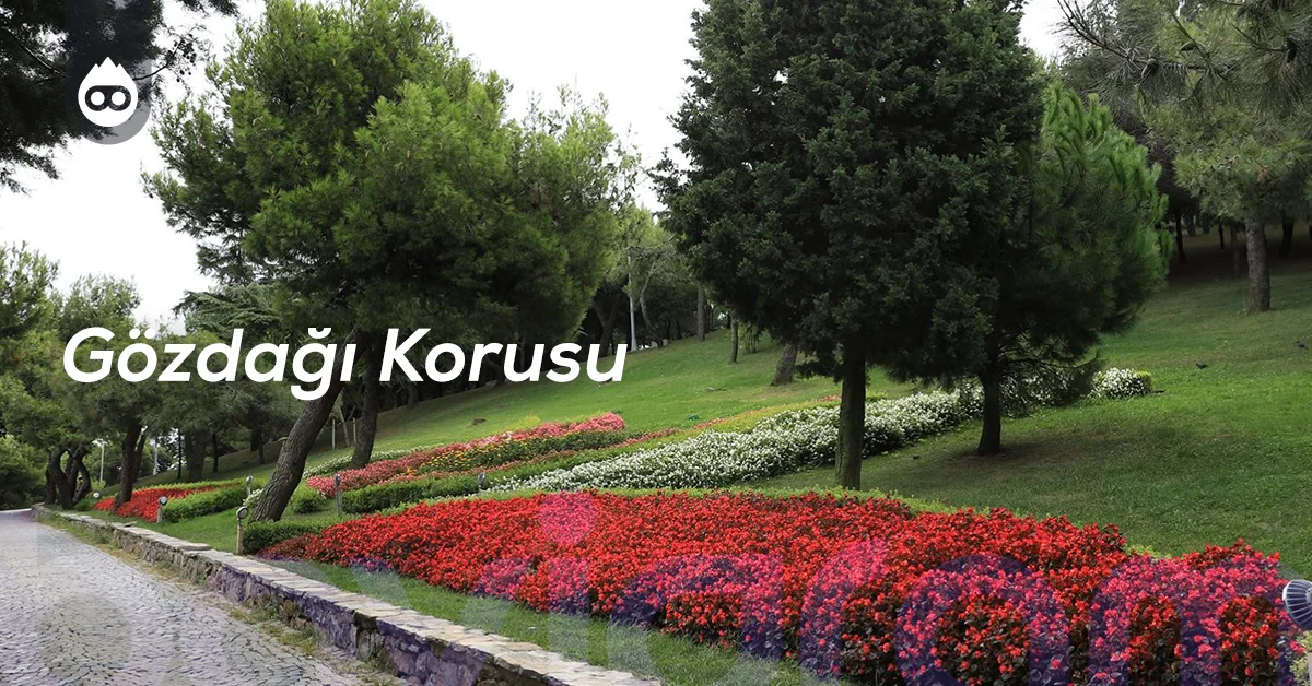 İstanbul Gezilecek Yerler Gözdağı Korusu