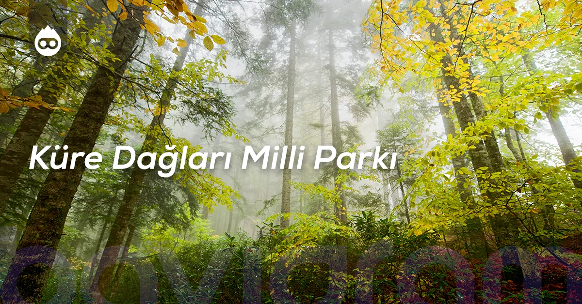 Kastamonu Gezilecek Yerler Küre Dağları Milli Parkı