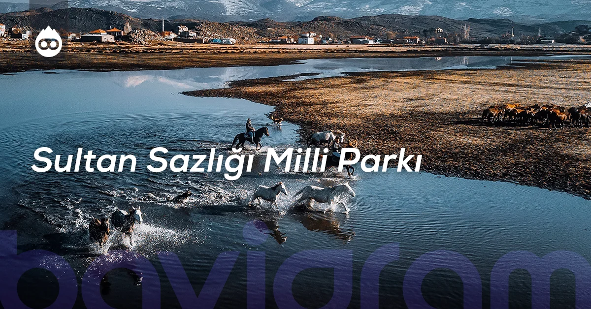 Kayseri Gezilecek Yerler Sultan Sazlığı Milli Parkı