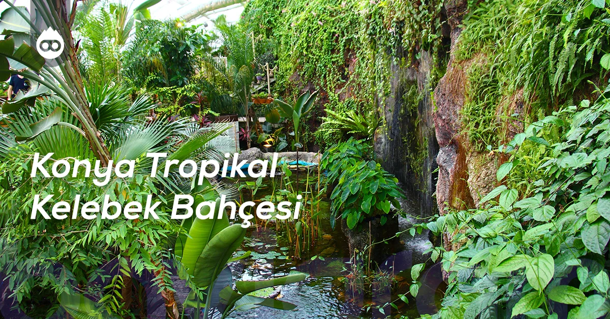 Konya Gezilecek Yerler Konya Tropikal Kelebek Bahçesi