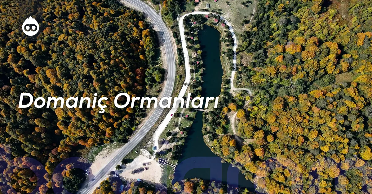 Kütahya Gezilecek Yerler Domaniç Ormanları