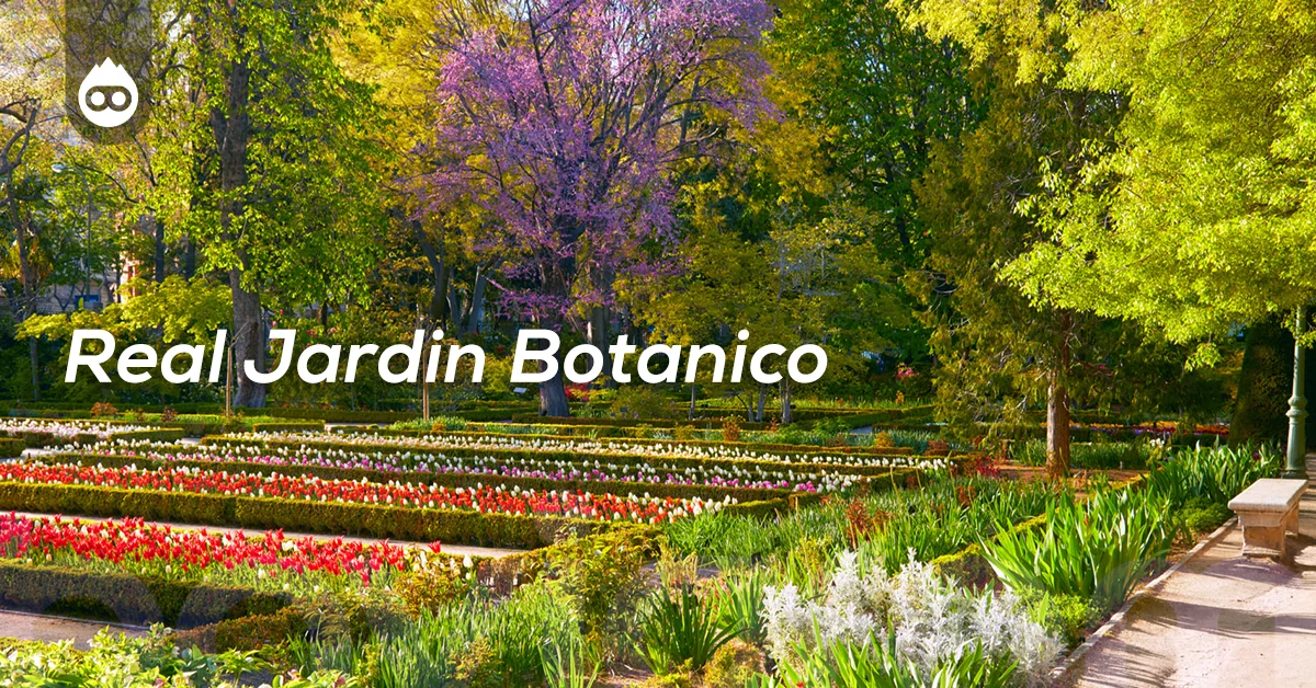 Madrid Gezilecek Yerler Real Jardin Botanico