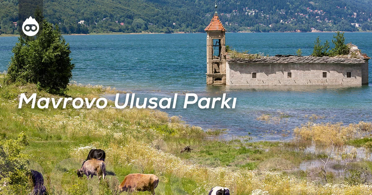 Kuzey Makedonya Gezilecek Yerler Mavrovo Ulusal Parkı